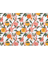 copy of toile enduite