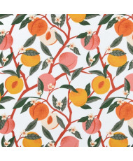 Nappe en Toile Enduite «...