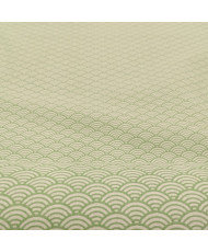 sushis- vert d'eau