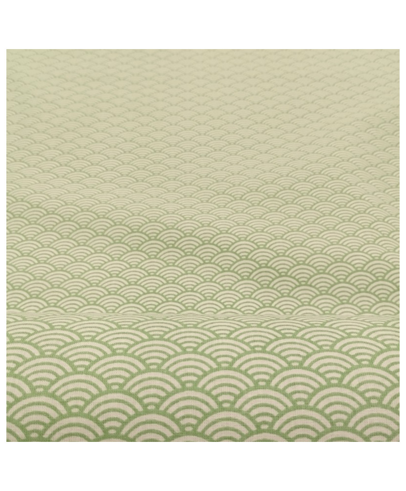 sushis- vert d'eau