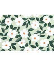 Nappe en Toile Enduite « Damoiselle » – vert amande (Larg. 140 cm)