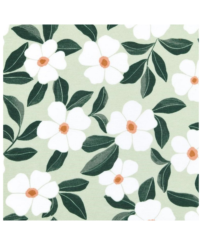 Nappe en Toile Enduite « Damoiselle » – vert amande (Larg. 140 cm)
