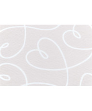 copy of toile enduite
