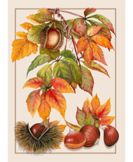 Pack of 3 Cotton Twill Kitchen Towels — Autumn Collection