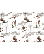 Toile de coton enduite "poudreuse"