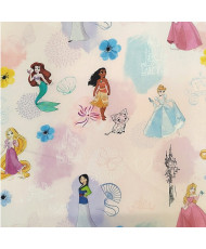copy of Princesses Disney