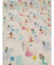 copy of Princesses Disney