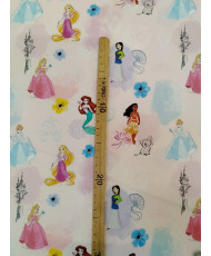 copy of Princesses Disney