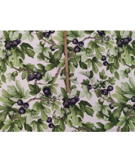1-meter Figo coupon