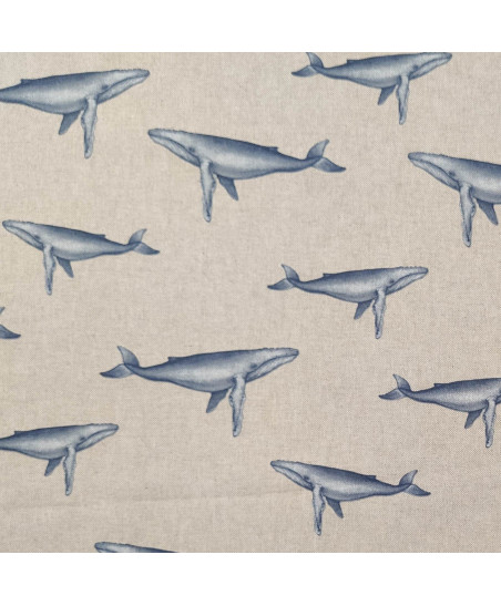 Baleine bleue