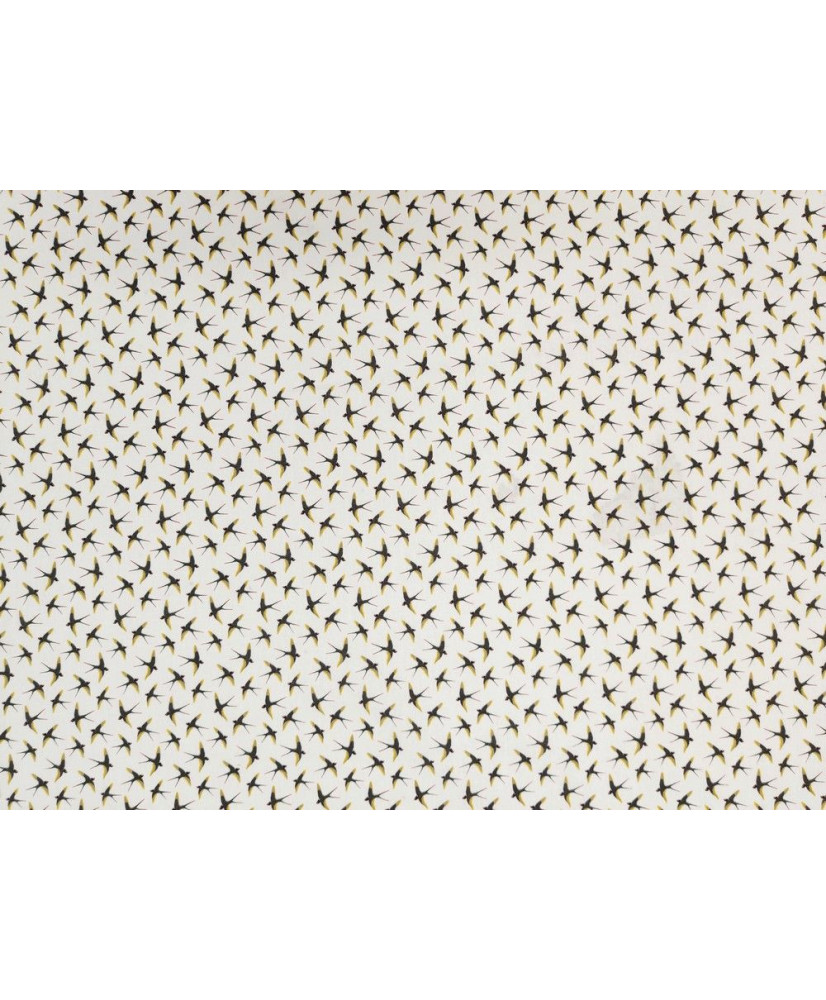 Bird col: blanc Bird col: blanc