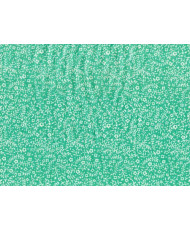 Fleur de sel col: Céladon