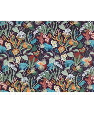 Garden col: Nuit