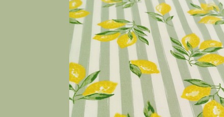cms-banner-3.jpg